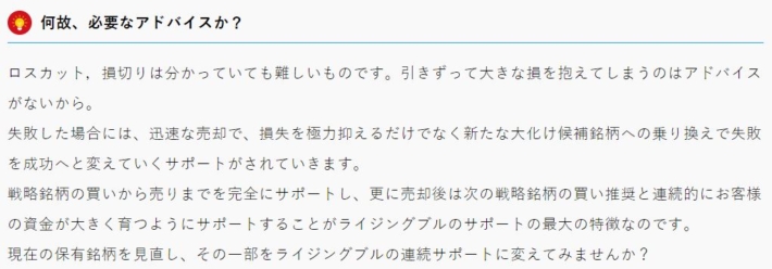 ライジングブル投資顧問のサポート